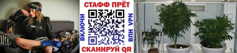 Наркотические вещества Междуреченск Метамфетамин  Меф мяу мяу  NBOMe  Конопля  КОКАИН  СК  Гашиш 